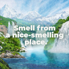 IRISH SPRING BODY WASH 20 OZ MOUNTAIN CHILL