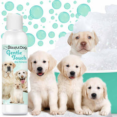 Gentle Touch Dog Shampoo & Soap