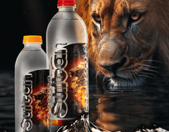 SULTAN WATER 13.5 FL OZ (0,4 L) PET (12 IN 1) - TULUMBA