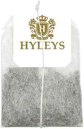 HYLEYS WELLNESS TEA DETOX & MINT 1.32oz X 25pc