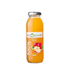 BEN ORGANIC APPLE JUICE 250 ML