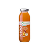 BEN ORGANIC APPLE GINGER CINNAMON 250 ML