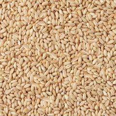 Hasata Wheat Peeled 1Kg
