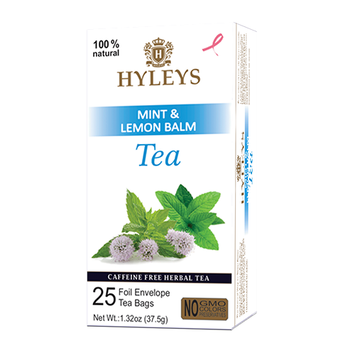 HYLEYS SLEEP TEA MINT 1.32oz