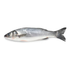 Moda Branzino-Sea Bass, Bulk, Gutted, 10pcs, 5-6