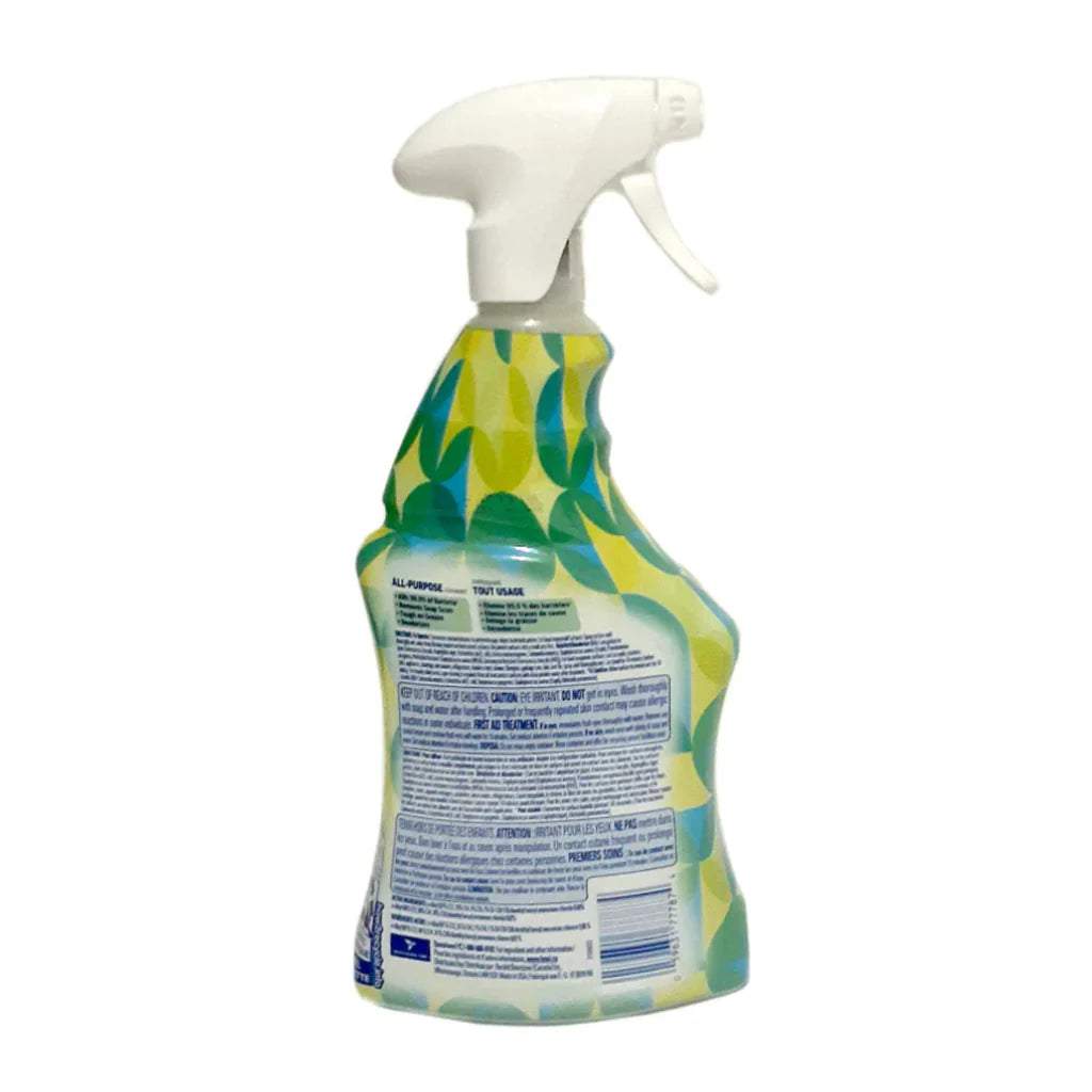 Lysol All-Purpose Cleaner Apple Blossom 22 fl oz